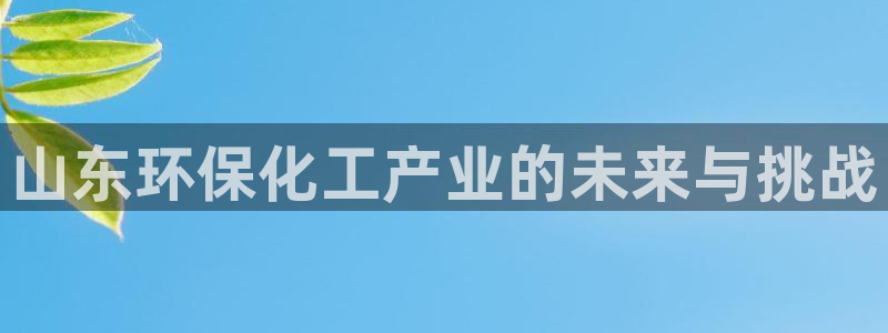 亿万网红:山东环保化工产业的未来与挑战